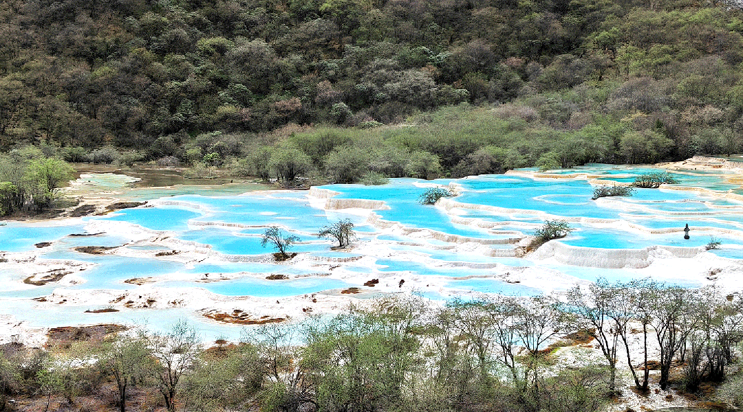 1718350766924139.gif 04.gif